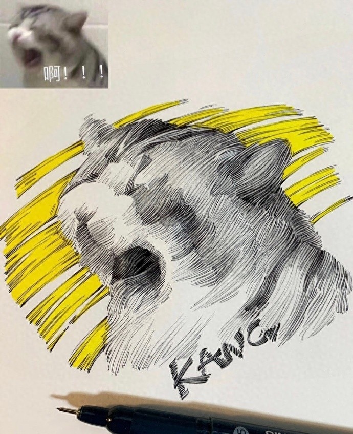 黑白 | 把搞怪表情包画成线条画，这波创意太可了吧