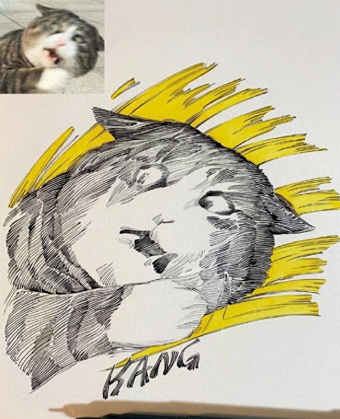 黑白 | 把搞怪表情包画成线条画，这波创意太可了吧