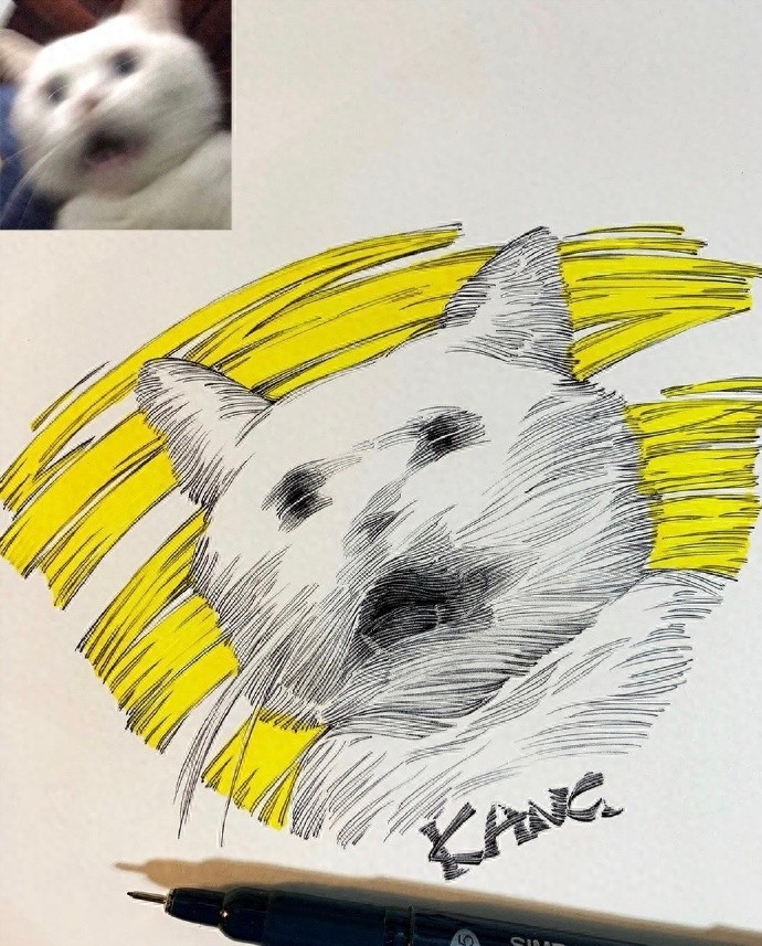 黑白 | 把搞怪表情包画成线条画，这波创意太可了吧