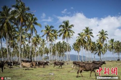 ​走进加勒比岛国——多米尼加共和国