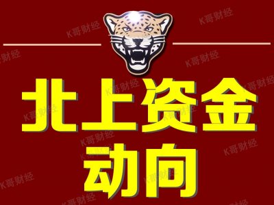 ​北上资金连续5天净买入个股一览表