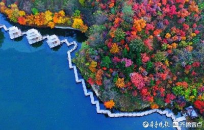 ​中秋国庆假期去哪玩？济南南部山区藏着一处艺文小镇