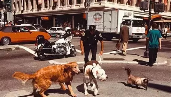 有名的奇幻电影有哪些电影(盘点十部令人过目不忘的奇幻电影)