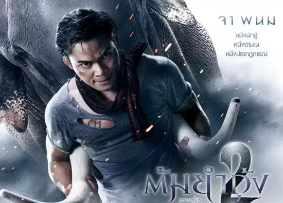 格斗经典电影有哪些好看的（9部让人热血沸腾的格斗电影）