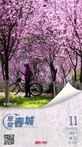 ​早安春城|昆明至罗平“赏花专列”来啦