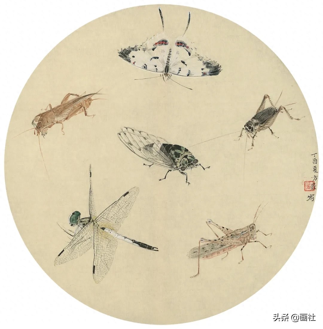 方严——当代画家里面的顶级高手，可与宋人媲美