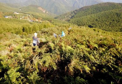 ​因赵露思而火的浙江一名山，刚刚爆红，为何就成为了限制之处？