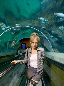 ​李诞老婆黑尾酱是哪里人（李诞老婆是谁）