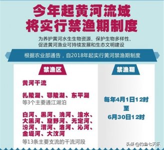 ​黄河禁渔令来了！还能休闲钓鱼吗？有关规定和长江大有不同