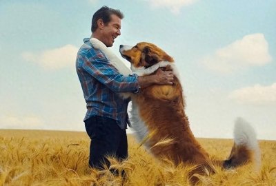​《一条狗的使命》：爱与被爱，同样都是世上最美好的事情