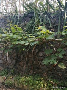 ​关于“积德”