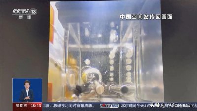 ​斑马鱼成功“上天”，探索太空奥秘