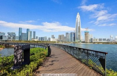 ​盐田暴跌深汕翻番，南山人均突破50万！2024年深圳各区GDP出炉