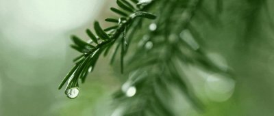 ​深夜华为再放新“大招”！突破高通垄断，华为：已申请专利