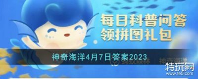 ​考考你海洋里的海绵是动物还是植物