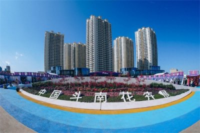 ​12月20-22日 1000多个新优花卉品种亮相斗南