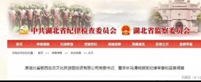 ​退休不“避责”：马清明案折射湖北反腐纵深推进